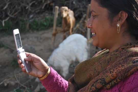 A newly-trained member of Radar's Indian network of citizen journalists sends a report from her village farm in the rural Himalayan foothills 